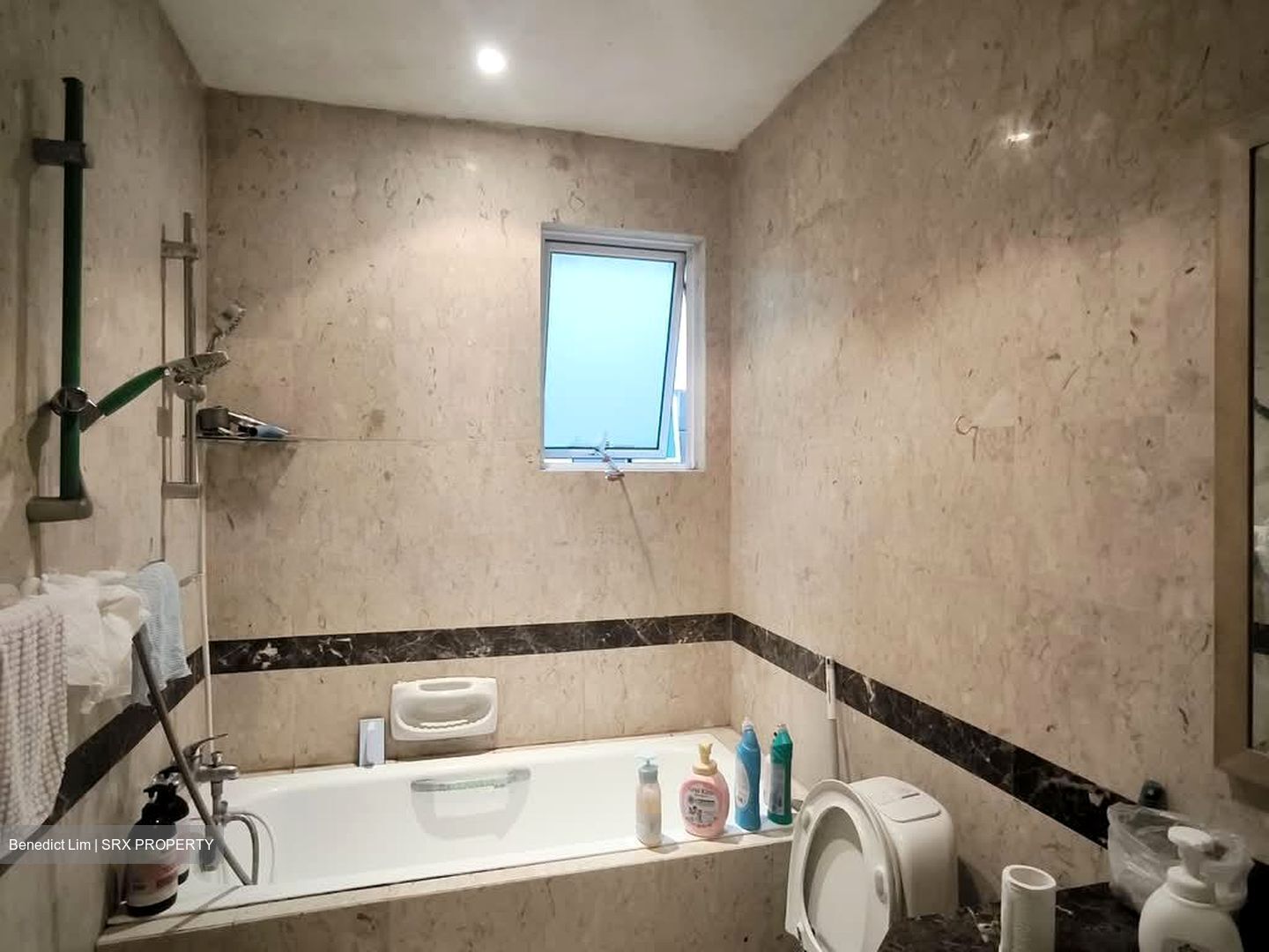 Le Wood (D21), Condominium #533816431
